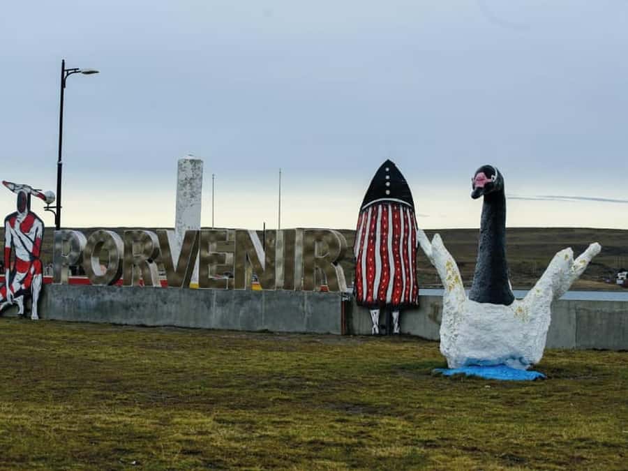 Punta Arenas: Full Day Tierra del Fuego & King Penguins - Key points to know before you book