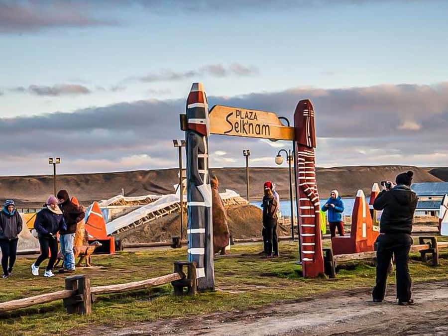 Punta Arenas: Full Day Tierra del Fuego & King Penguins - Porvenir, the island’s practical gateway