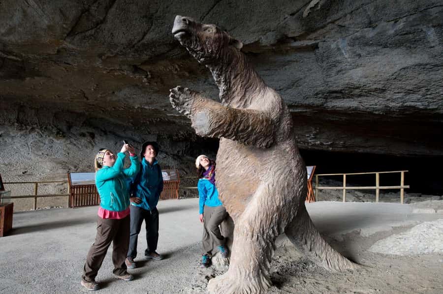 Punta Arenas: Full Day Torres del Paine + Milodon Cave - Why this day trip works from Punta Arenas