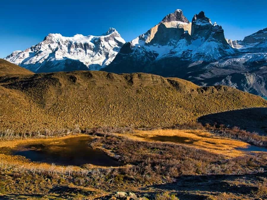 Punta Arenas: Full-Day Torres del Paine Tour - Milodon Cave and the Ultima Esperanza stop