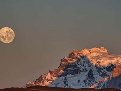 Punta Arenas: Full-Day Torres del Paine Tour