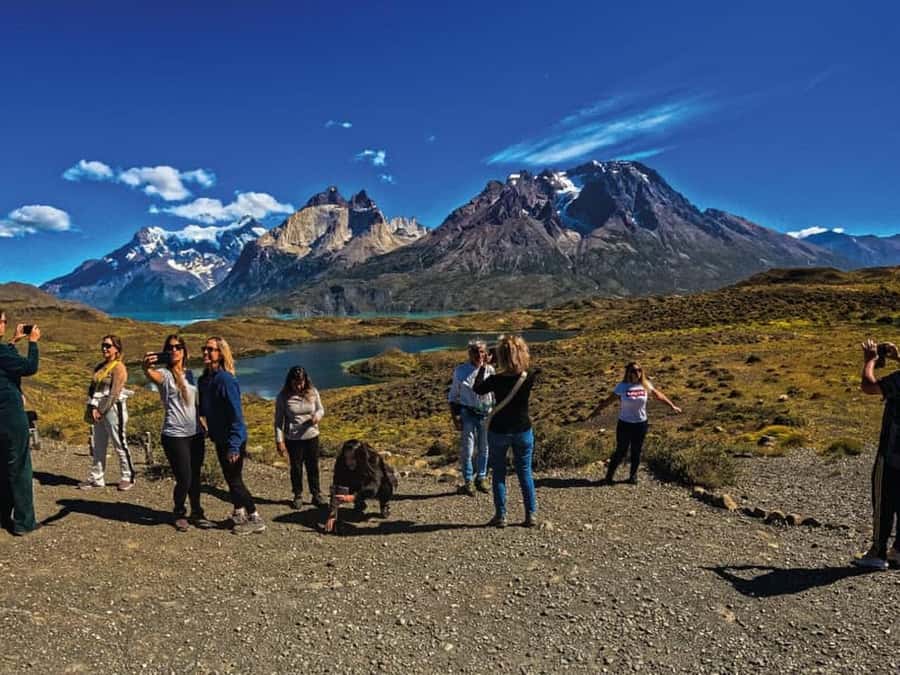 Punta Arenas: Full-Day Torres del Paine Tour - Pehoé viewpoint and the classic mountain view