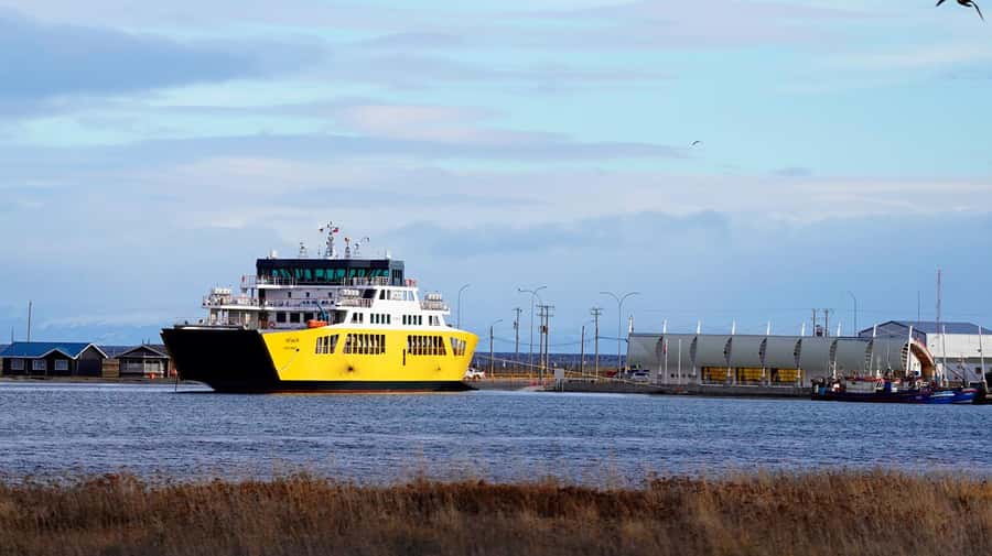 Punta Arenas: King Penguin Park and Tierra del Fuego Trip - Practical planning for a 14-hour day