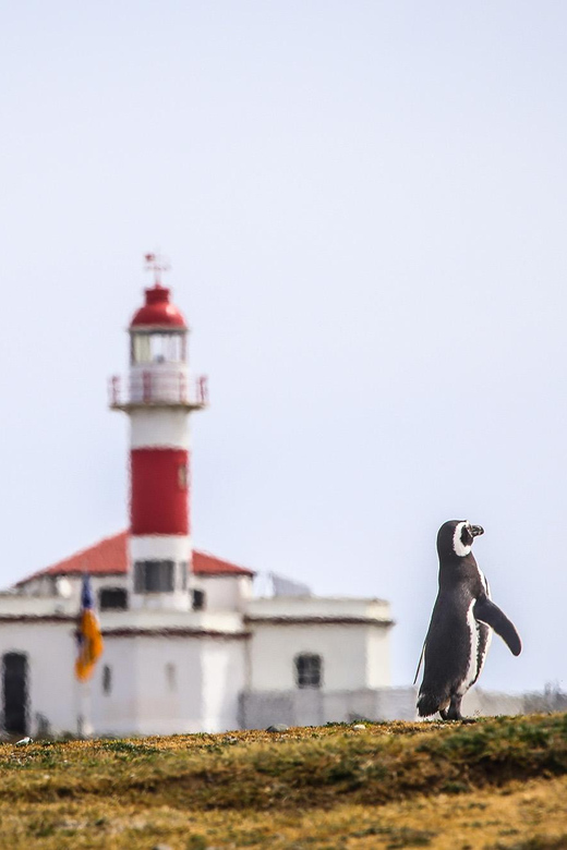 Punta Arenas: Magdalena Island Navigation & Penguin Walk - A note about weather and changing plans