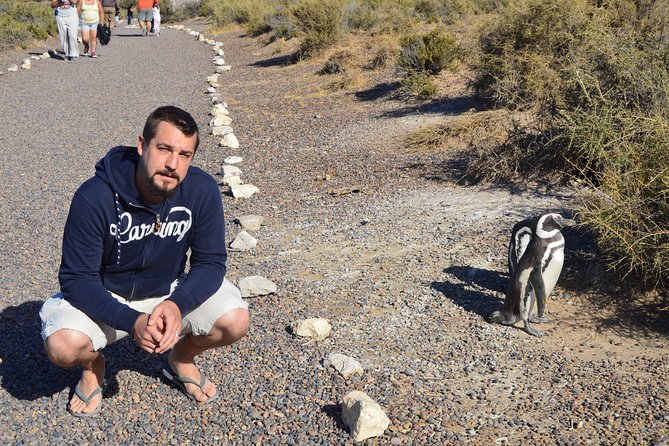 Punta Tombo Tour, the Penguin Experience - Who will enjoy this Punta Tombo tour?