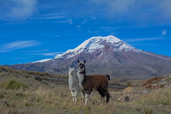 Quito to Cuenca 4 or 5-Day Tour with Cotopaxi, Quilotoa, Baños and Chimborazo - What this Quito to Cuenca journey is really like