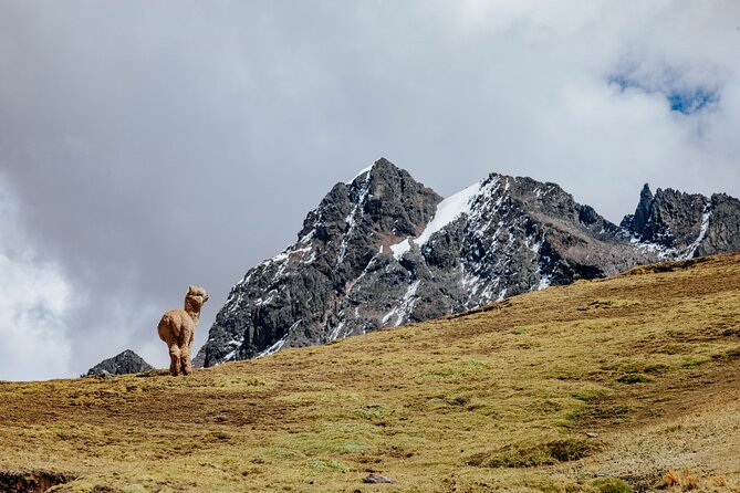 Rainbow Mountain and Red Valley Hike – 2 Days / 1 Night - Group size, meals, and daily comfort