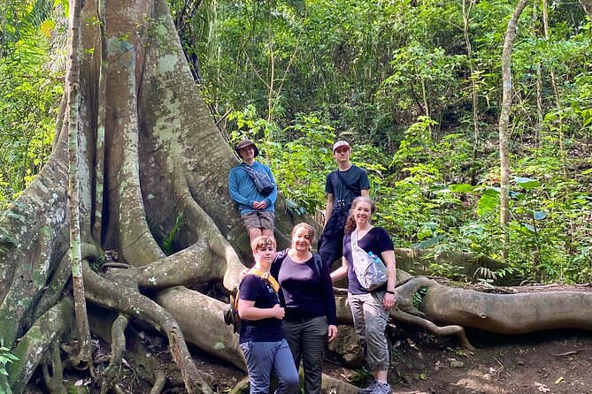 Rainforest Wildlife, Panama Hat makers, Traditional Cuisine. SHORE TOUR - Why This Manta Day Works Best as a Variety Tour