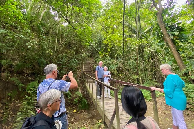 Rainforest Wildlife, Panama Hat makers, Traditional Cuisine. SHORE TOUR - Playa Tarqui Shows Manta at Work