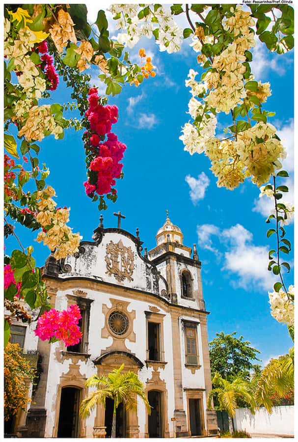 Recife & Olinda City Tour: Unveiling the Charm of Two Cities - Recife and Olinda in one long day