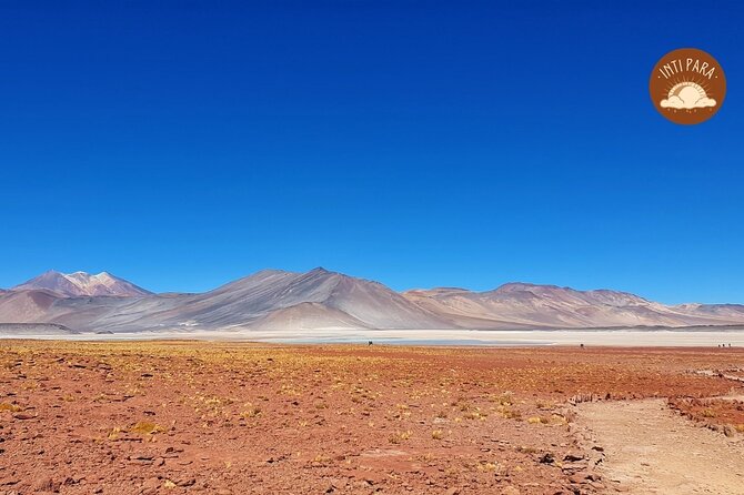 Red Stones and Altiplanic Lagoons - A full Atacama day from a 7:00 am start