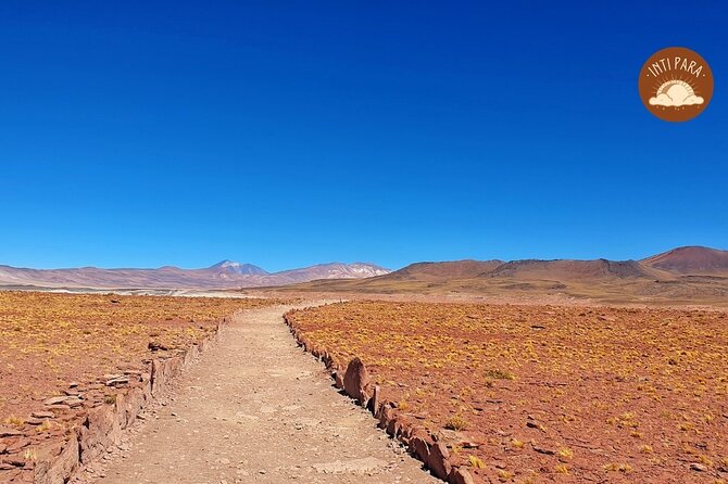 Red Stones and Altiplanic Lagoons - Chaxa Lagoon and the Atacama salt flats
