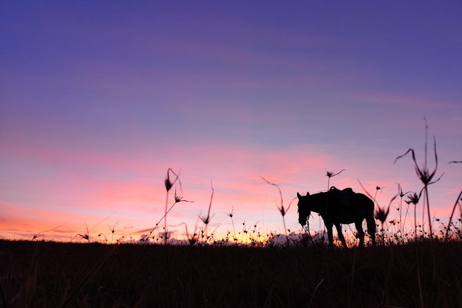 Ride to the highest point on the island for sunset - From the ranch to the eucalyptus forest