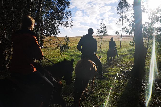 Ride to the highest point on the island for sunset - Returning as the first stars appear