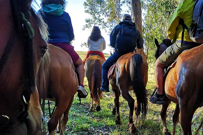 Ride to the highest point on the island for sunset - Climbing through the open meadows
