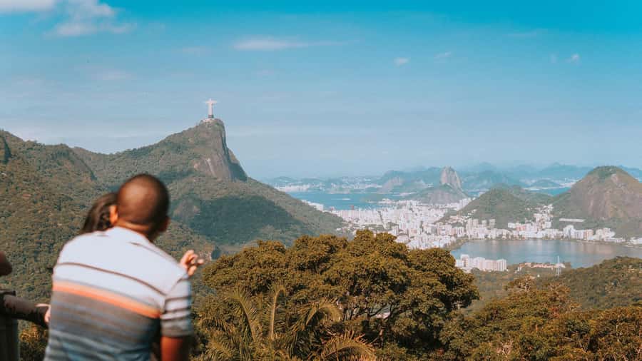 Rio de Janeiro: 4-Hour Botanical Garden & Tijuca Forest Tour - A short forest walk in Tijuca National Forest