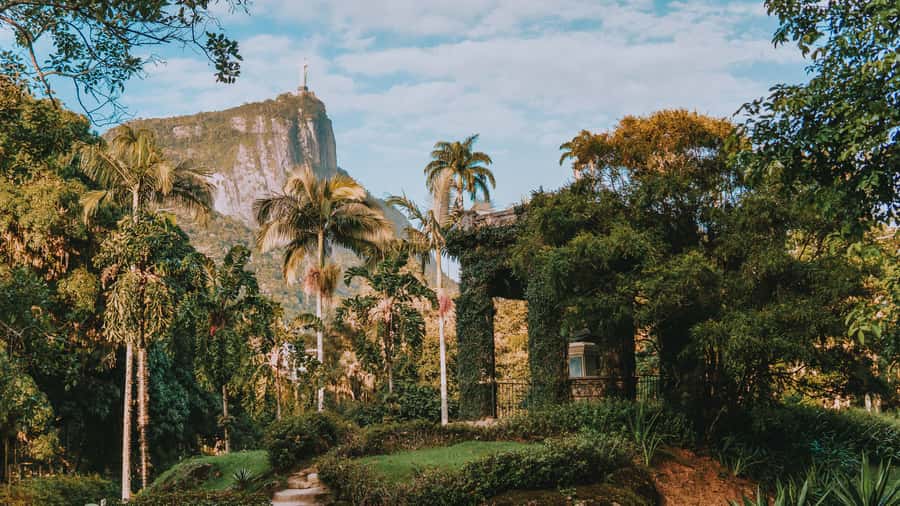 Rio de Janeiro: 4-Hour Botanical Garden & Tijuca Forest Tour - Orchids, bromeliads, and a useful escape from the heat