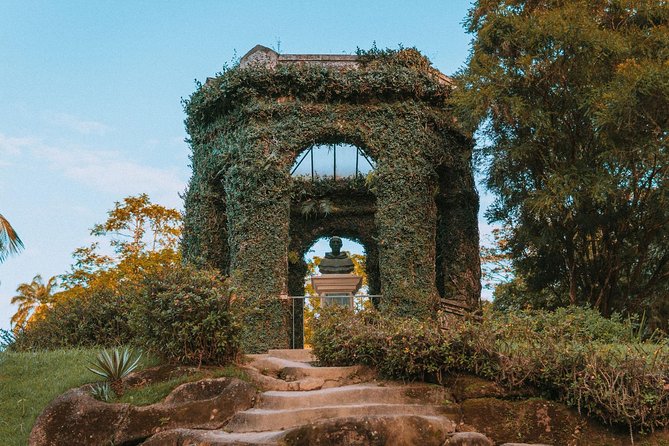 Rio de Janeiro Botanical Garden & Tijuca Forest Tour - What the guide adds, and where the tour can fall short