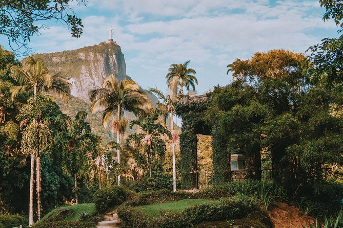 Rio de Janeiro Botanical Garden & Tijuca Forest Tour - The Botanical Garden: the strongest part of the afternoon
