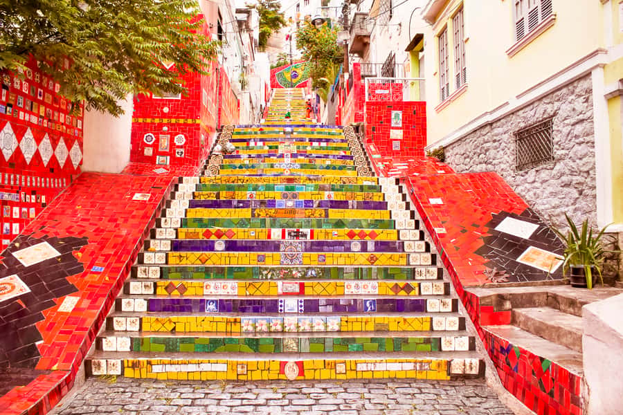 Rio de Janeiro: Christ, Selaron Steps, and Tijuca Park Tour - Park Lage and Tijuca’s green side
