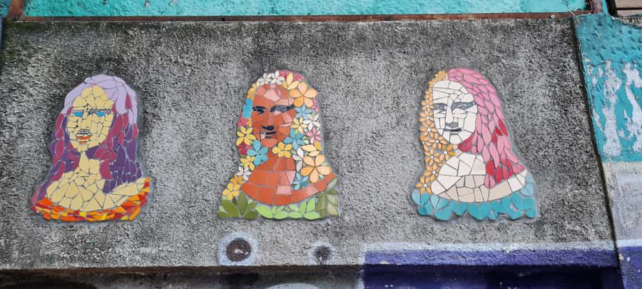 Rio de Janeiro: Favela Santa Marta Tour with Resident Guide - Visiting homes, local spaces, and everyday life