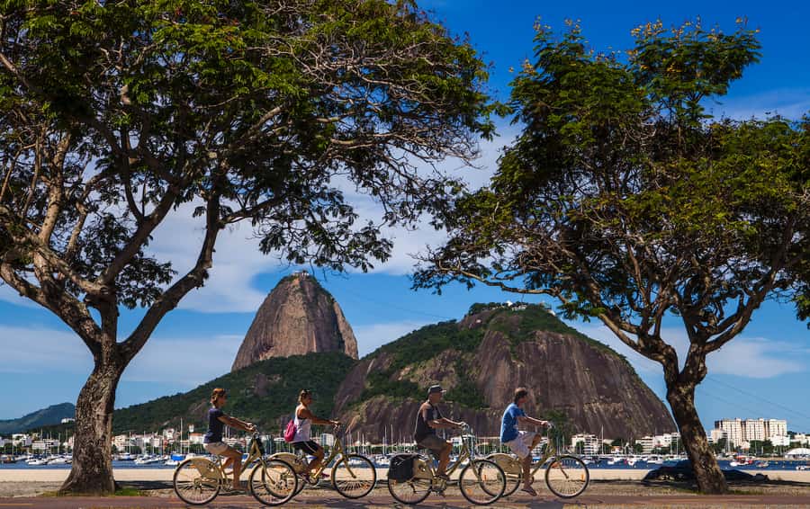 Rio de Janeiro: Guided Bike Tours in Small Groups - The 4-hour Panoramic Tour: from Copacabana to Lapa