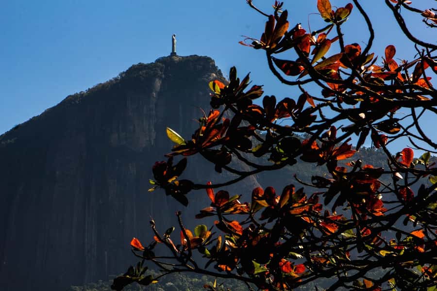 Rio de Janeiro: Guided Bike Tours in Small Groups - The 3-hour Urban Tour: beaches, Sugarloaf, and Lagoa