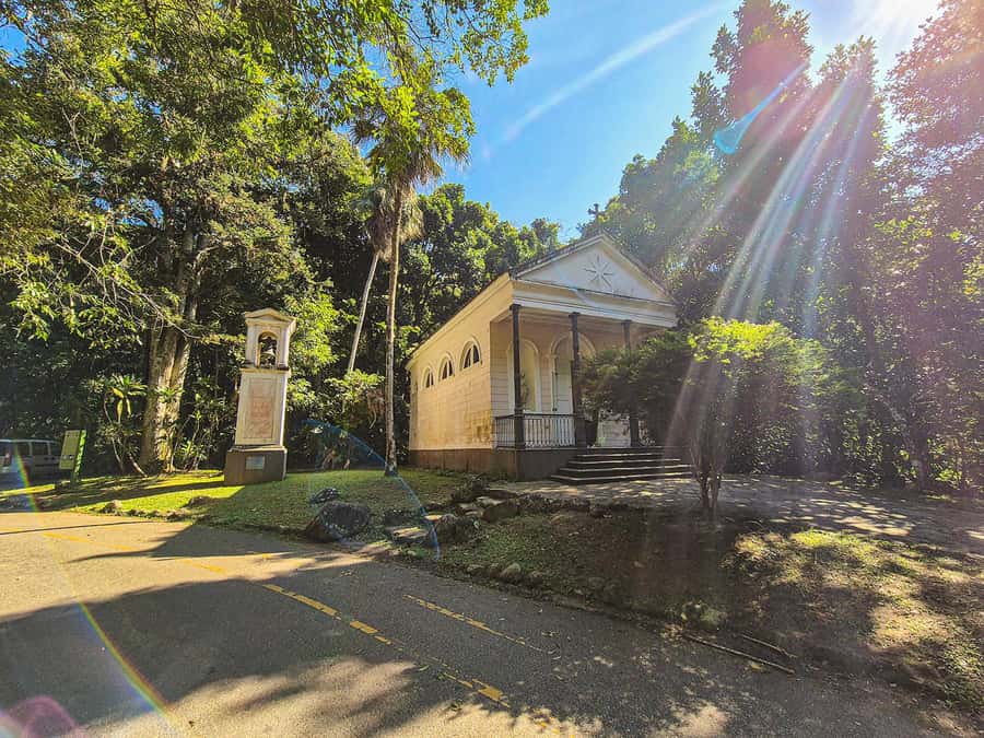 Rio de Janeiro: Guided Jeep Tour through Tijuca Rainforest - The easy hike is the most personal part