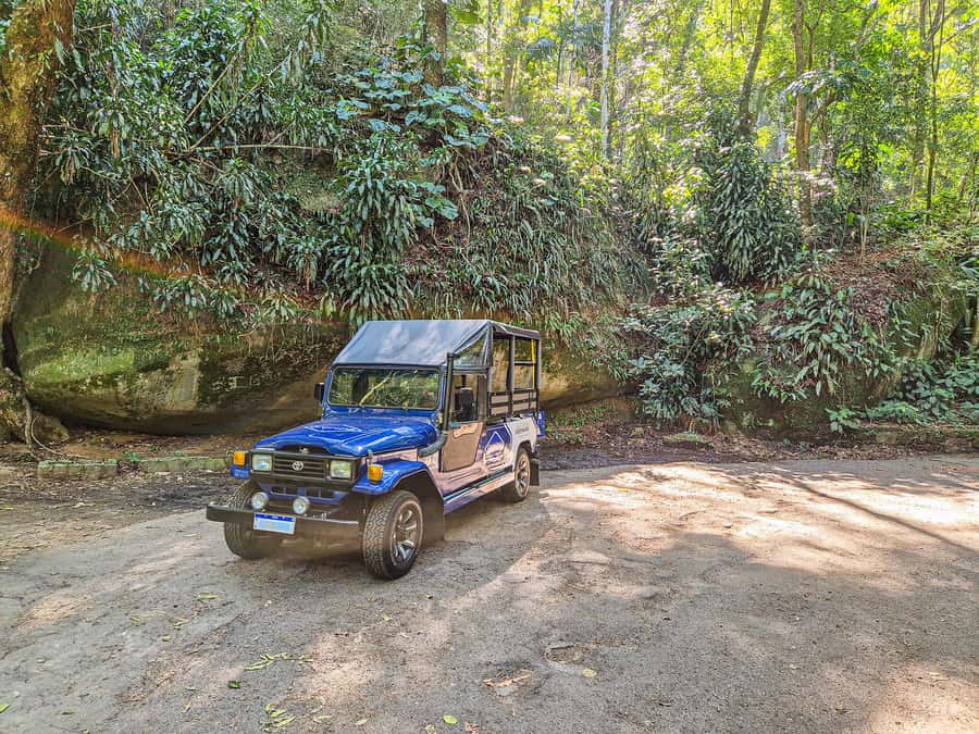 Rio de Janeiro: Guided Jeep Tour through Tijuca Rainforest - Guides make the difference