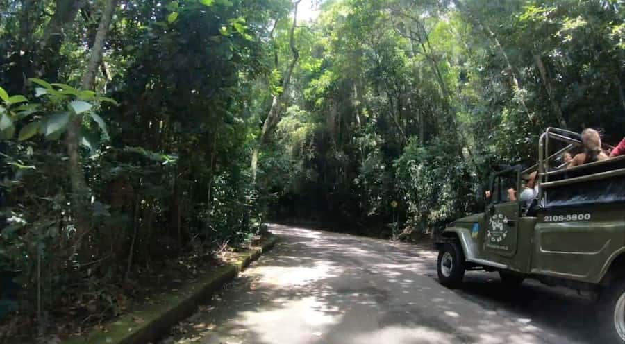 Rio de Janeiro: Jeep Tour in the Tijuca Forest - What the $82 price really covers