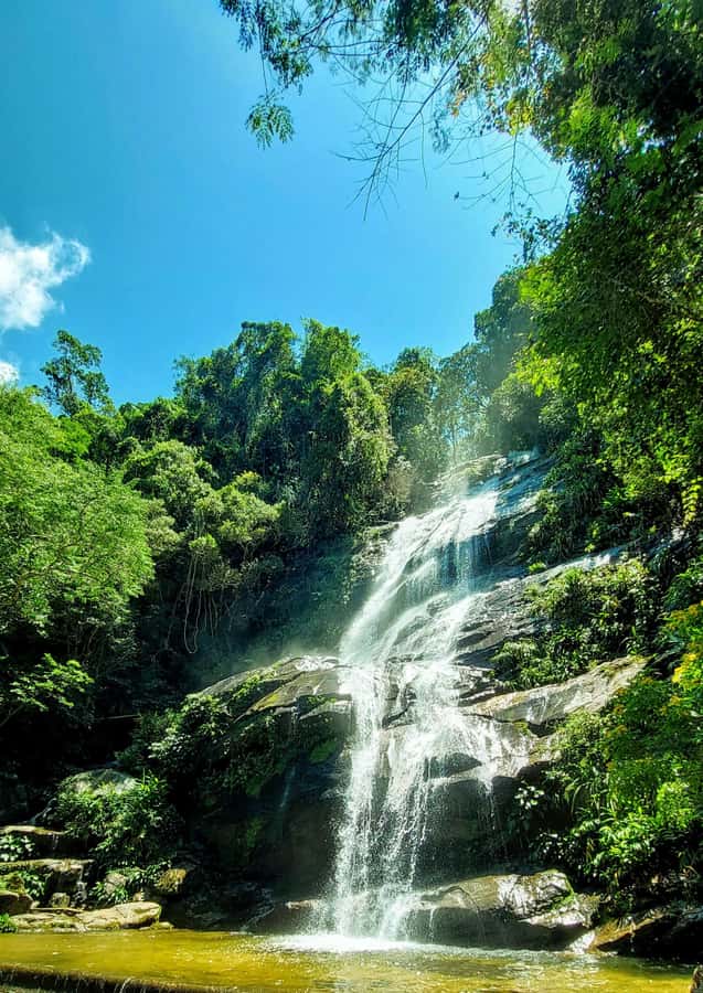 Rio de Janeiro: Tijuca Forest Challenge Hike Full-Day Trip - The long climb to Taquara Hill