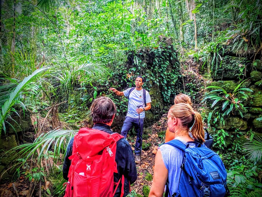 Rio de Janeiro: Tijuca Forest Challenge Hike Full-Day Trip - The quieter trails after the summit