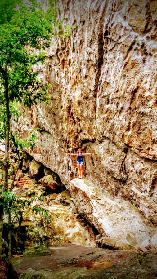 Rio de Janeiro: Tijuca Forest Challenge Hike Full-Day Trip - Grottos, the Bat Cave, and the waterfall