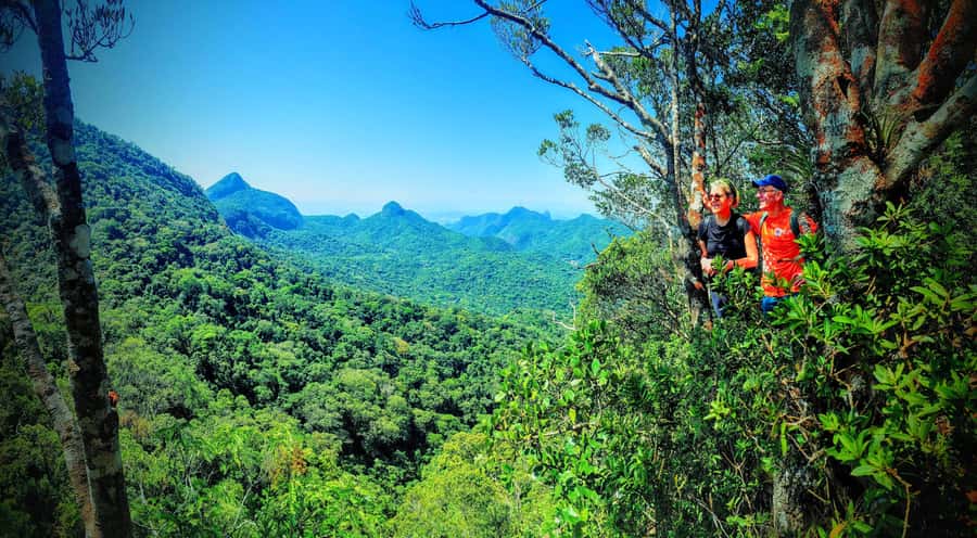 Rio de Janeiro: Tijuca Forest Challenge Hike Full-Day Trip - What the guides add to the day