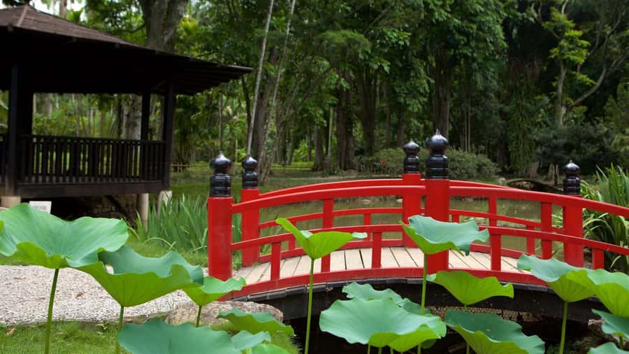 Rio de Janeiro: Tijuca National Park & Botanic Garden Tour - Should You Book The Tijuca And Botanical Garden Tour?