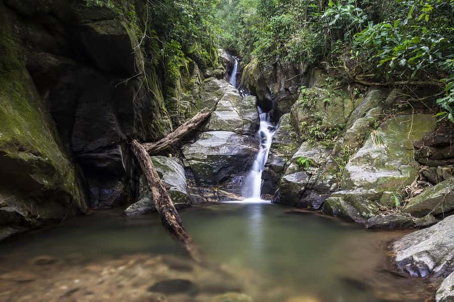 Rio de Janeiro: Tijuca National Park & Botanic Garden Tour - Why Tijuca Forest Makes This Tour Different