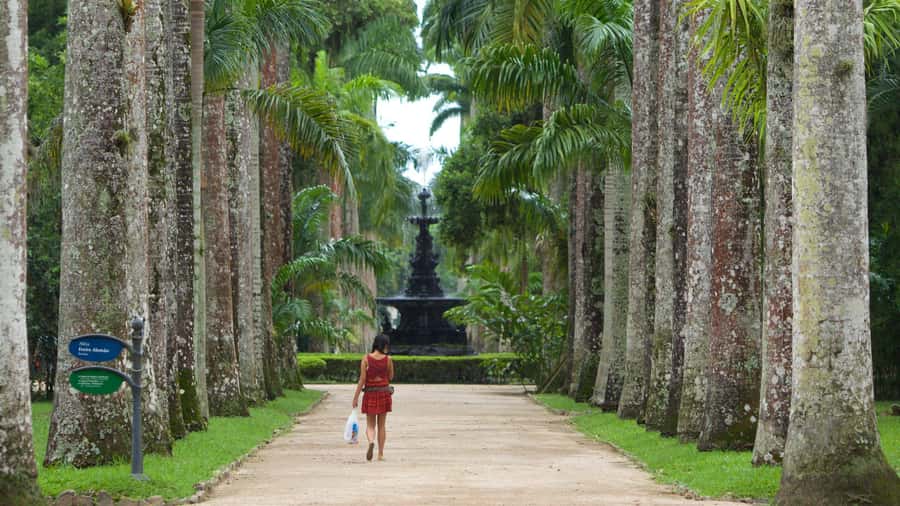 Rio de Janeiro: Tijuca National Park & Botanic Garden Tour - What $65 Gets You