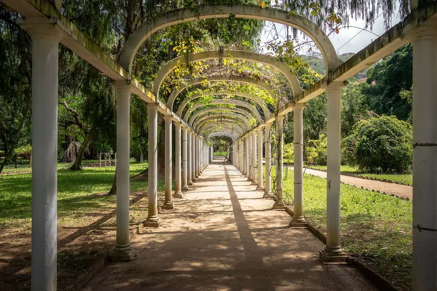 Rio de Janeiro: Tijuca National Park & Botanic Garden Tour - Hotel Pickup And The Four-Hour Schedule