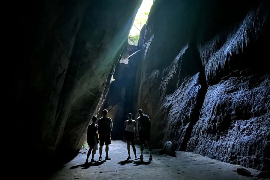 Rio de Janeiro: Tijuca National Park Tour - Returning to Rio by about 1 PM