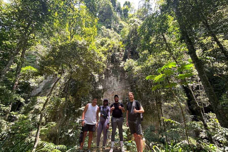 Rio de Janeiro: Tijuca National Park Tour - Waterfalls, pools, and the pace of the trail