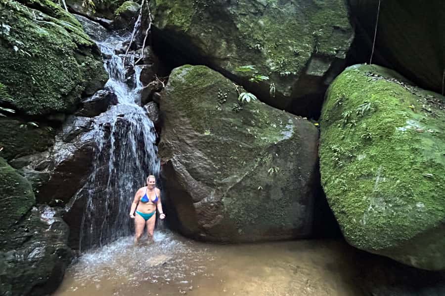 Rio de Janeiro: Tijuca National Park Tour - A Floresta and the heritage side of Tijuca