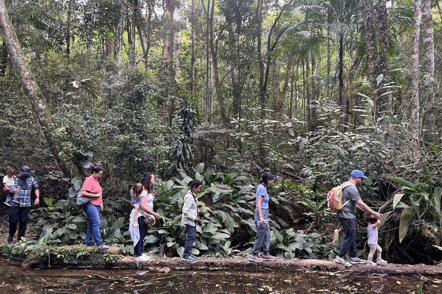 Rio de Janeiro: Tijuca National Park Tour - Caves and the Gruta dos Morcegos stop