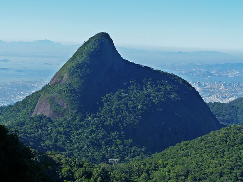 Rio de Janeiro: Tijuca Peak Guided Hike - Through Tijuca’s urban rainforest