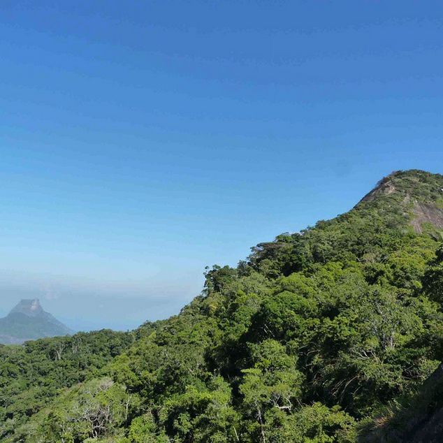 Rio de Janeiro: Tijuca Peak Guided Hike - What the guide adds to the day