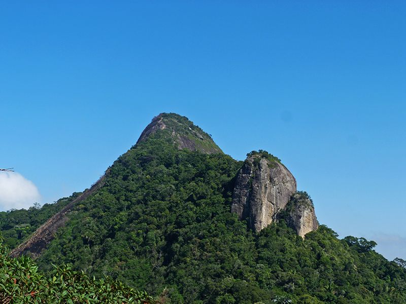 Rio de Janeiro: Tijuca Peak Guided Hike - Is the $56 price fair?