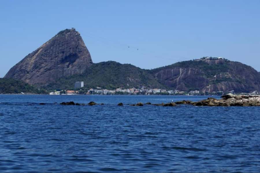 Rio From The Sea: Guanabara Bay Cruise with Optional Lunch - Price, flexibility, and practical details