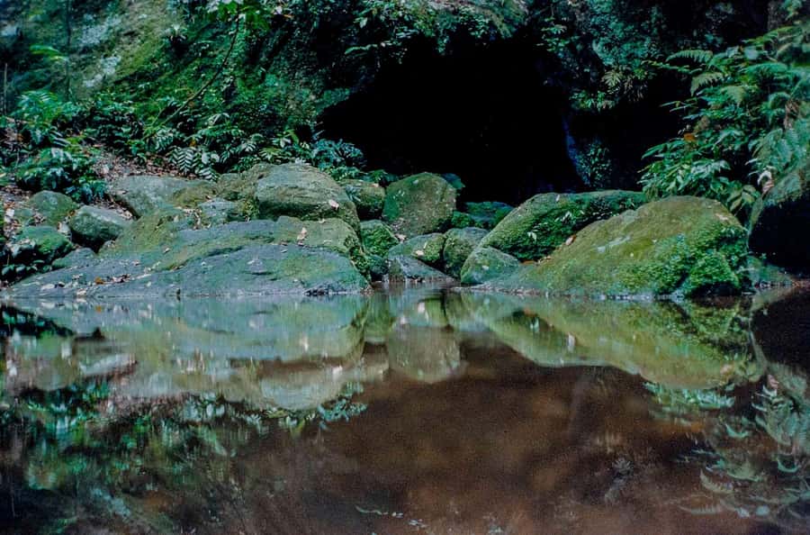 Rio: Half-Day Jeep Tour at Floresta da Tijuca - Why Tijuca Forest makes a good half-day escape