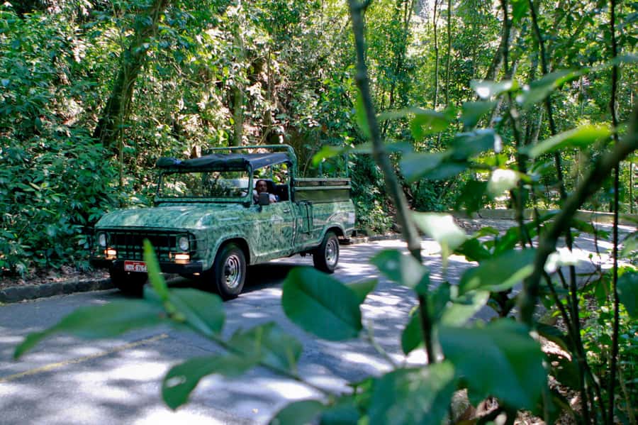 Rio: Half-Day Jeep Tour at Floresta da Tijuca - Cascatinha Taunay and the question of swimming