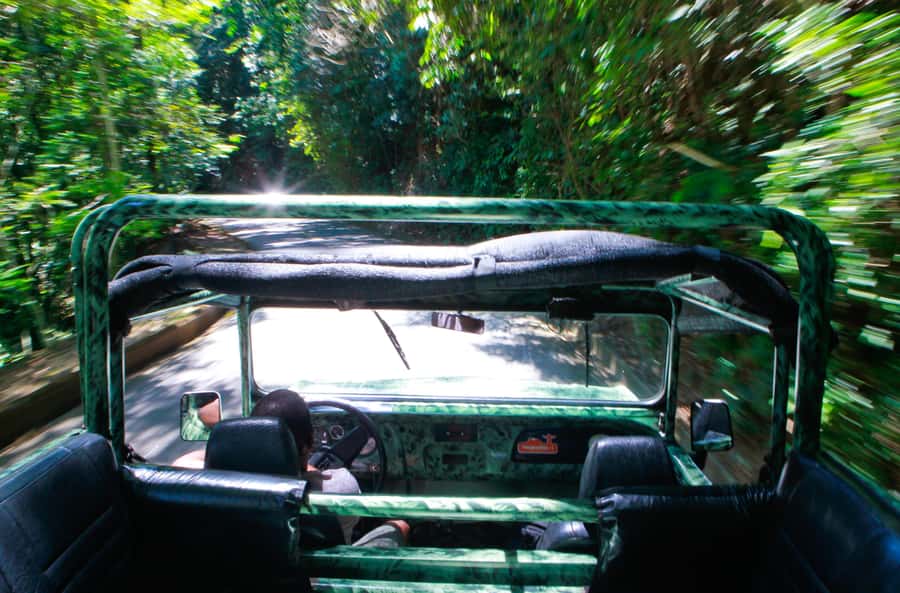 Rio: Half-Day Jeep Tour at Floresta da Tijuca - Mayrink Chapel and Rio’s quieter history