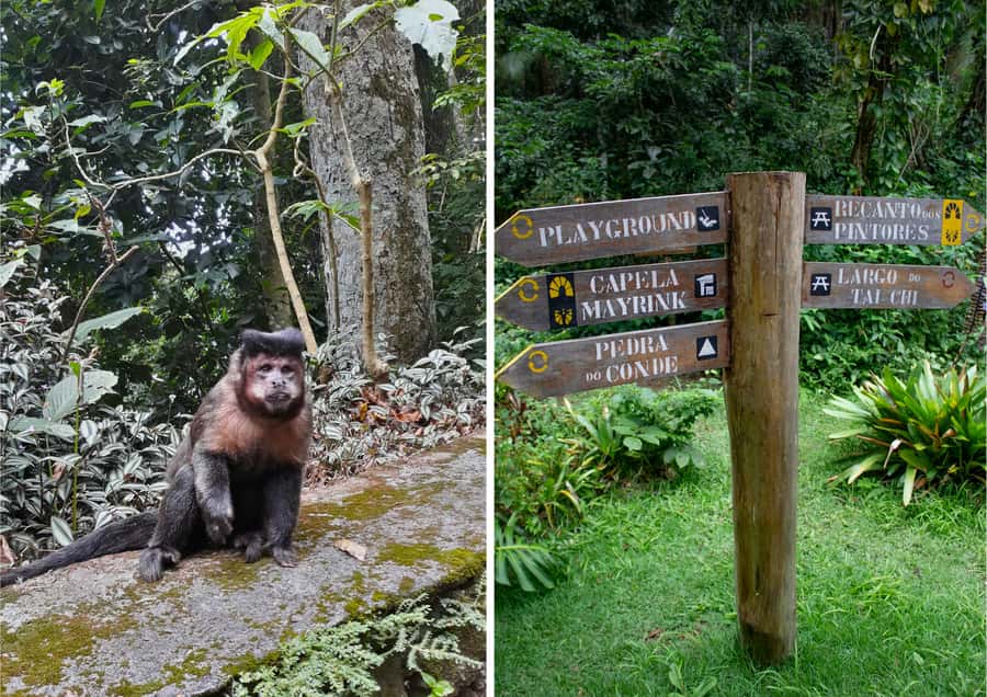 Rio: Half-Day Jeep Tour at Floresta da Tijuca - The guides make the difference